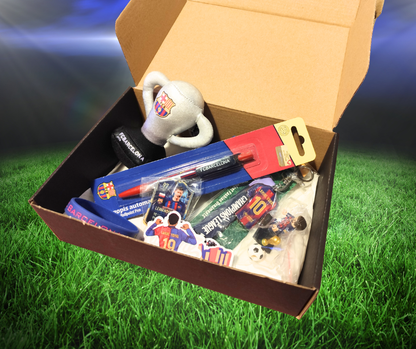 Kataloński BOX kibica